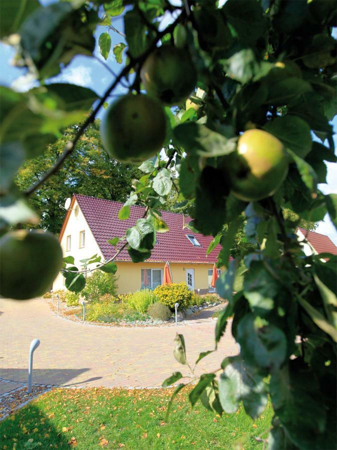 Schoelzke'S Ferienhaus Ralswiek Exterior foto